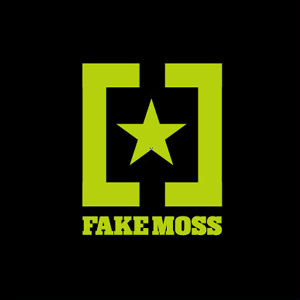 Fake Moss - She's smashing the room again omslag. Klicka för större version.